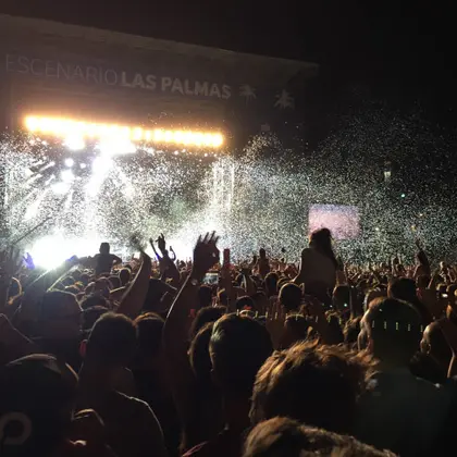 Publikum bei einem Open-Air-Musikfestival