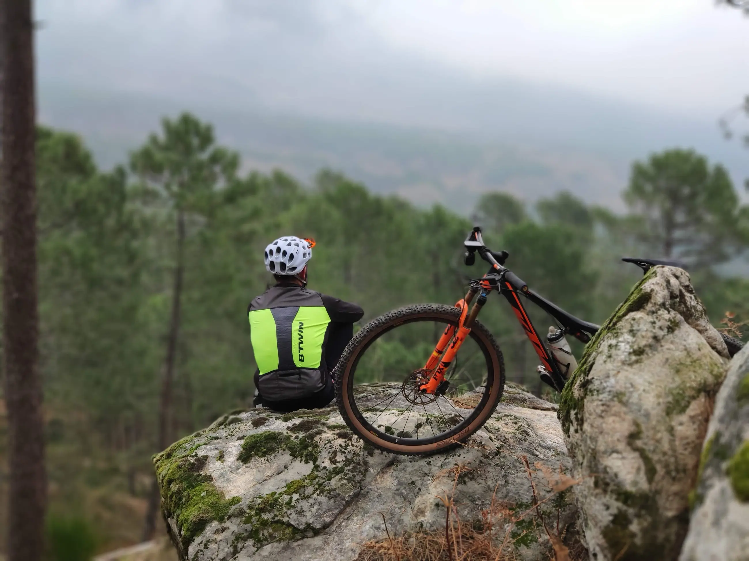 Un ciclista descansa junto a su bicicleta de montaña frente a un valle de pinos