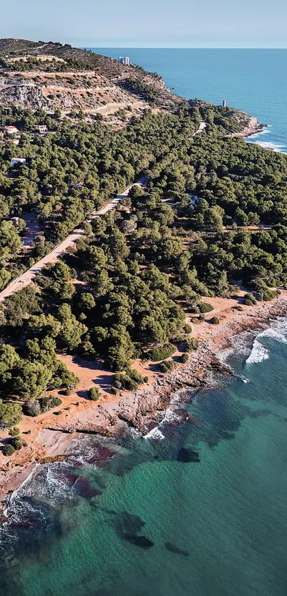 Die Vía Verde del Mar zwischen der Vegetation, direkt an der Küste